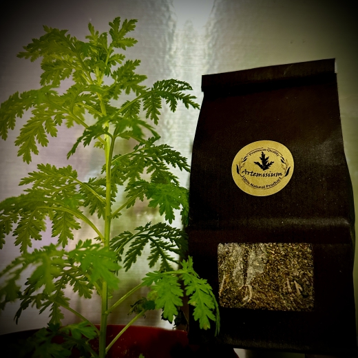 Artemisia annua, einjähriger Beifuß, Blätter, 100g