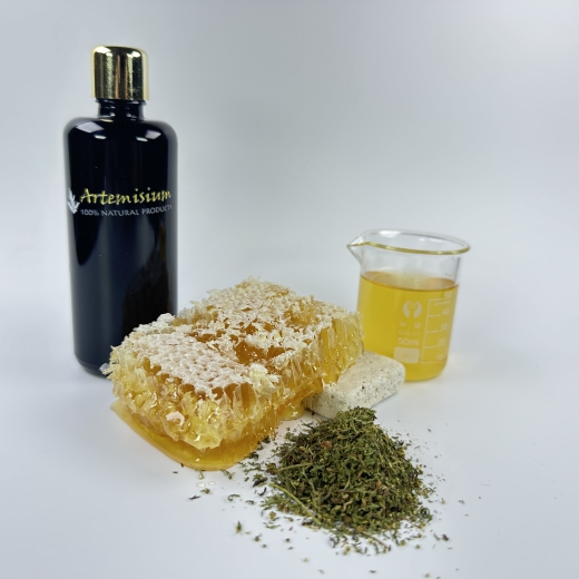 Artemisia annua Oxymel – Kräuter-Sauerhonig mit herbem Charakter