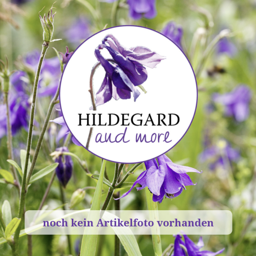 Löwenzahn forte Extrakt, 100 ml