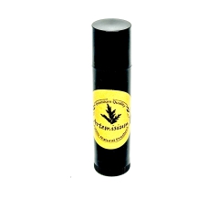 Artemisia Annua Salbe FORTE Vegan - Pflegestift 6 ml