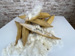 JR FARM Baumwollschote Kapokschote für Nager und Vögel Hamsterwatte Hamsterwolle